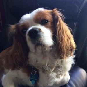 Meet your Posher, Lynn